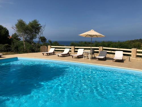 Belvista Luxury Apartments - image 5