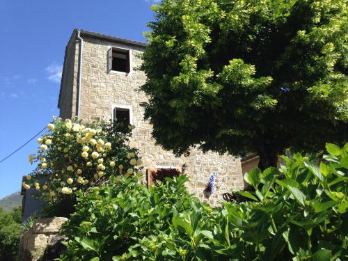 A Torra gîte à louer Albitreccia