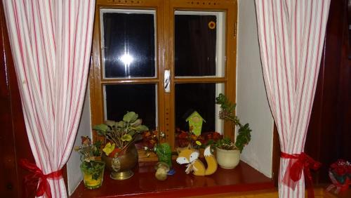 Ferienanlage Bacherhof - image 11