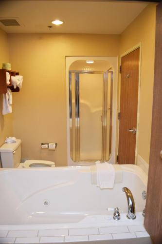 Beachfront Hotel Houghton Lake - image 14