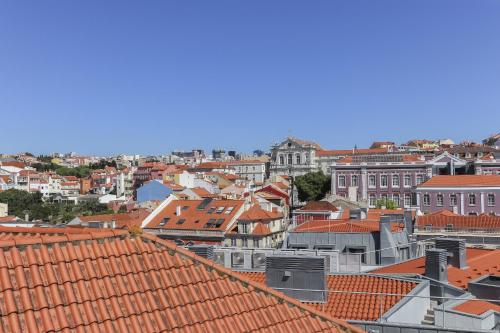 Santa Catarina Stylish by Homing - image 3
