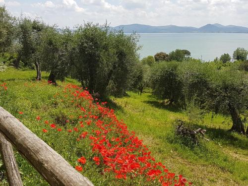 Antica casa di famiglia Castiglione Del Lago