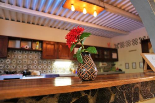Hostal La Tortuga Booluda in Леон