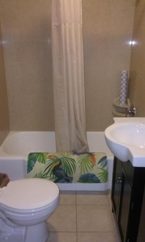 Hotel Cazan - image 5
