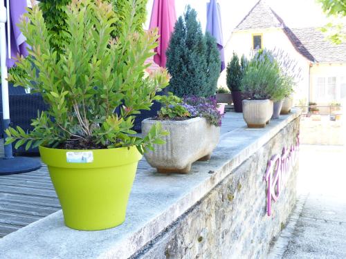 Hôtel du Château 4