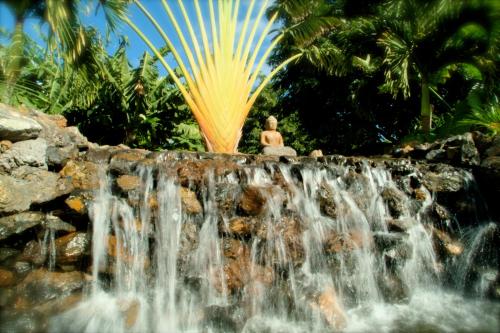 Maui Meadows Guesthouse - image 7