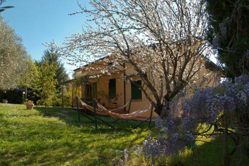  Casa Elisabetta in Montescudaio