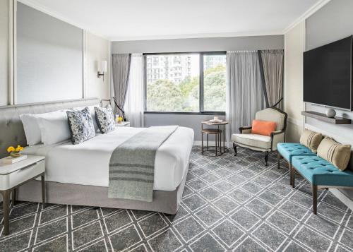 Junior Suite with Kitchenette
