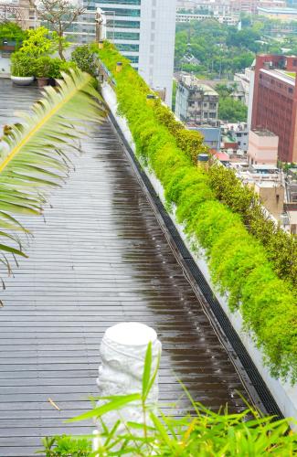 シーザー パーク ホテル14