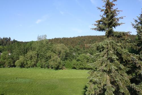 Gasthof Hoppe - image 9