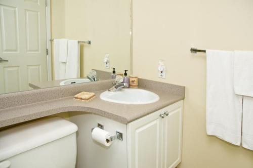 Corporate rental , relocating , working in North Vancouver , pet friendly
