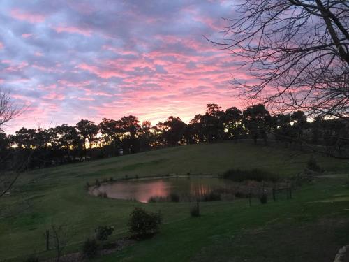 Raynella Alpaca Farmstay