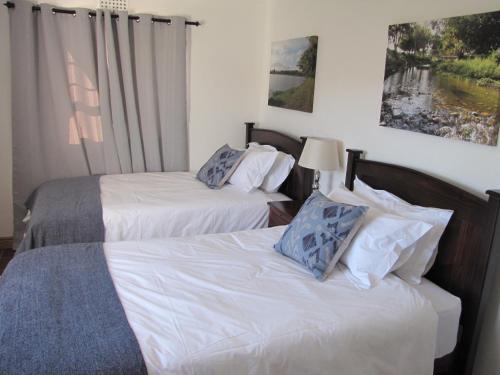 Induku, Stellenbosch (fotografie 6)