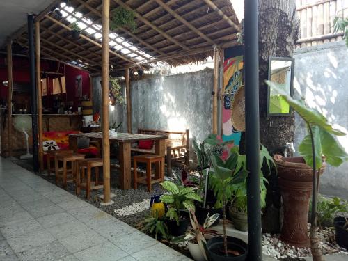 

Cozy Nest Hostel