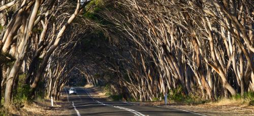 Mercure Kangaroo Island Lodge