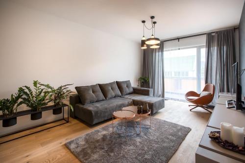 Cosmopolit Booking - image 3