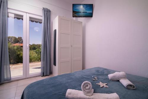Acapus Studios - image 2