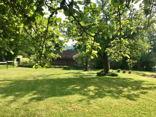 Ferienhaus Vulkaneifel Landhaus Loogh