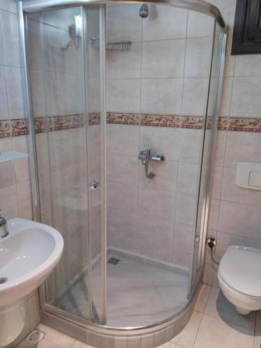 Hotel Alp Guesthouse - image 9