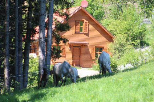 Sternen-Chalet in Grassendorf