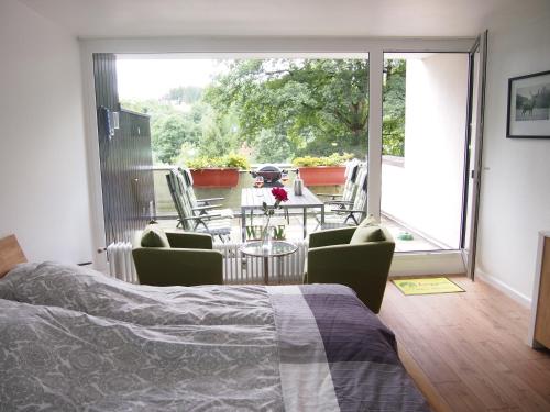 Harzgrün 2 - Apartment mit großem Balkon & Grill in Sankt Andreasberg, Deutschland