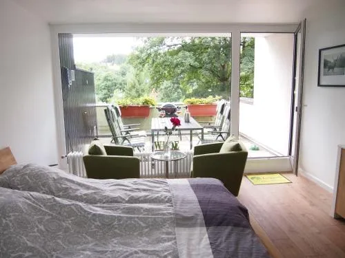 Harzgrün 2 - Apartment mit großem Balkon & Grill in Sankt Andreasberg, Deutschland