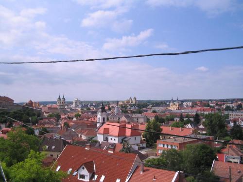 Castle of Eger