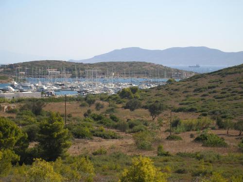 Studio Thorikosite
