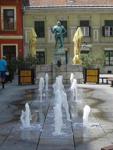 กิจกรรม, Veronika Apartment in เซเกสเฟแฮร์วาร์