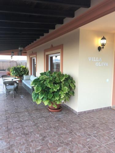 Villa Oliva Fuerteventura