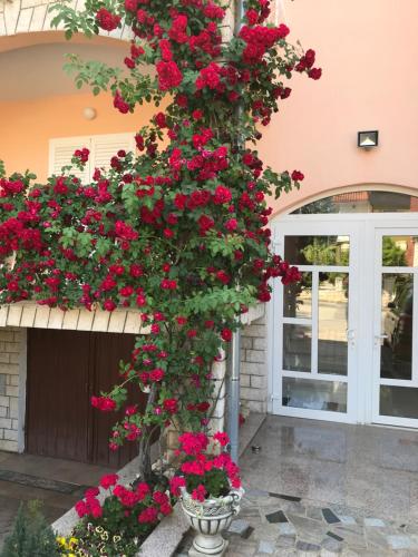 House Marić, Poreč (Parenzo) (foto 10)