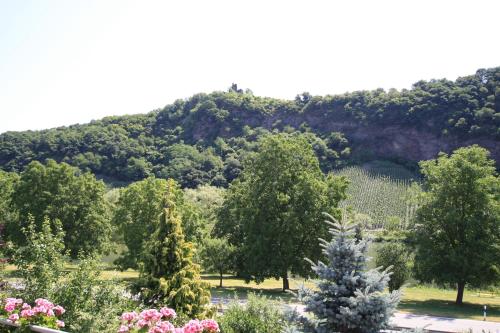 شرفة/ تراس, Weingut Bernd Hermes in كروف