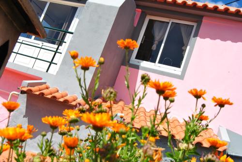  Mar A Vista 2 in Ribeira Brava