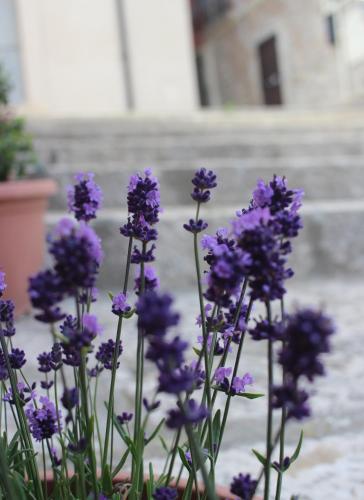 B&B Al Gravattone