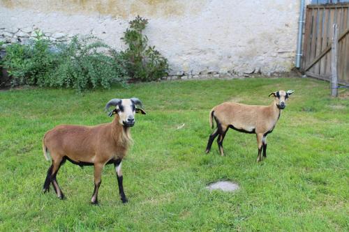 Ferme des Poulardieres