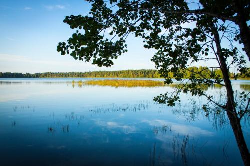 Pullijärve Holiday Park - image 3