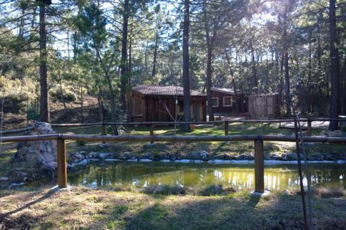  Cabaña en pleno parque natural del río mundo, Pension in Riópar