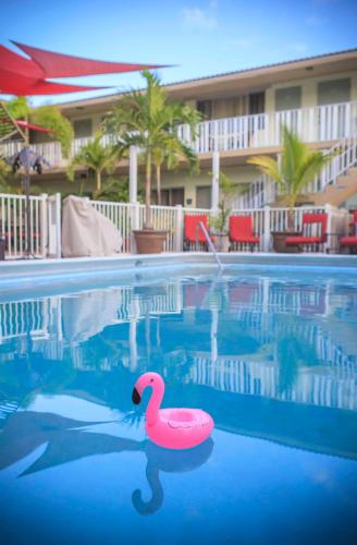 The Big Coconut Guesthouse - Gay Men's Resort – Fort Lauderdale, FL