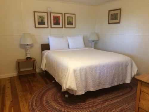 1 queen bed