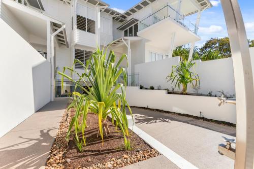 Paperbark A - Luxury Duplex in Sunshine Beach