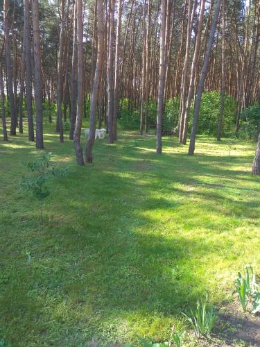 Hotel Tropicana in Svitlovodsk