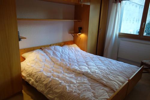 Fontanettaz MOUNTAIN & COSY apartments - image 12