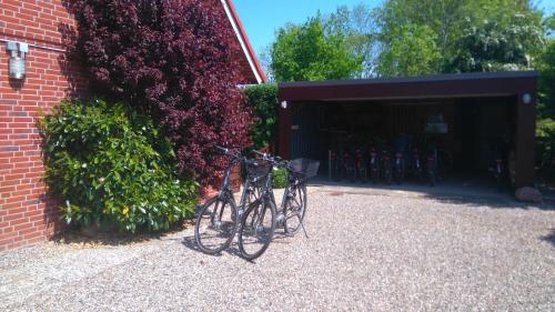 Ferienhof Christian und Antje Hopp - image 2