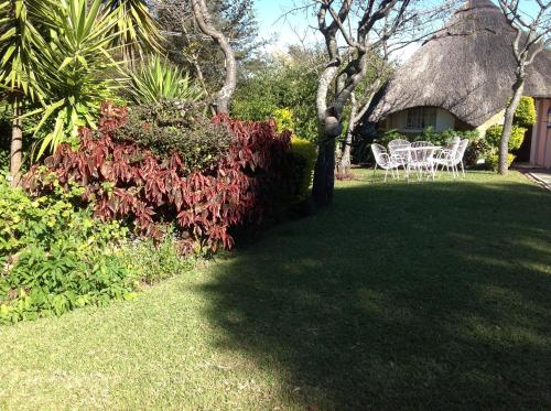 trädgård, Lynn's Guest House in Bulawayo