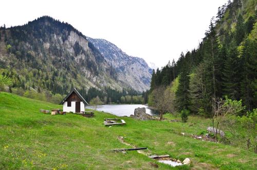 Guesthouse Nedajno - image 13