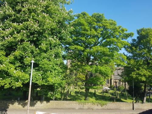 Church View - image 12