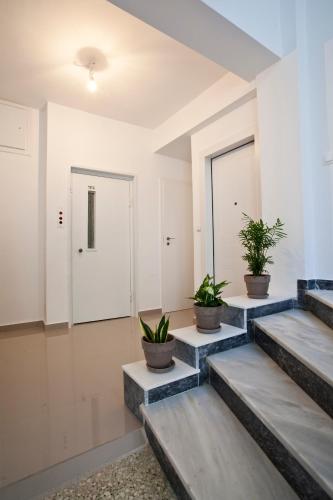 Exarcheia House, Atény (fotografie 8)