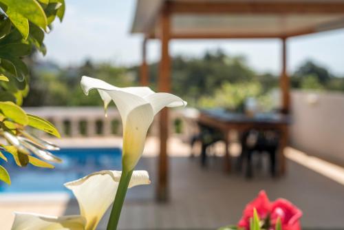 Villa Sao Miguel - Armacao de Pera – Armacao de Pera, ID