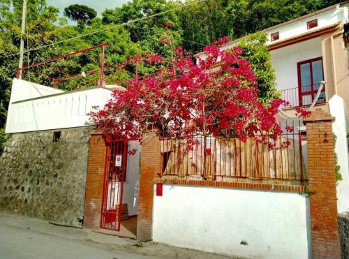  La Casa del Marinaio 0, Pension in Vico Equense