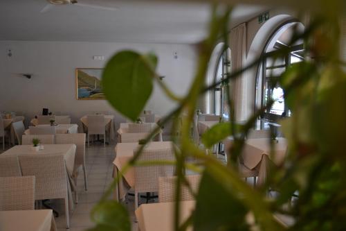 Hotel Smeraldo - image 10